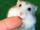biting your hands - this one is clever