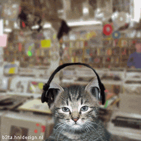 Cat Dance - Cat Dancing