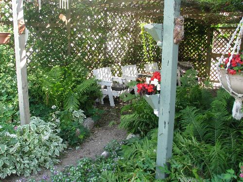 Photo of our courtyard covered in vines - My hubs built this area so we could have some shade in our otherwise sunny garden. After it was finished we planted hopes and Virginia Creepers and they come back every year. It did not take long for them to grow on the lattice work and now they provide a cool respite on hot days.