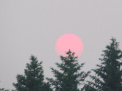 Strange looking moon  - This untouched photo was taken of the moon in Manitoba when there was a lot of smoke from farmer's fields. I do not recall seeing a pink moon before...do you?