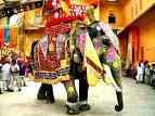 indian elephant - is it true that indian elephant is big than all other elephants in the world.