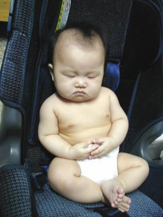 sleeping doll - have a nice dream