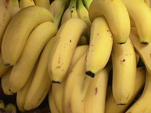 banana - great fruit banana - great fruit