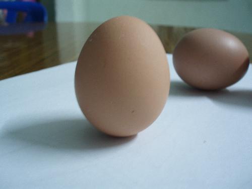 standing egg - It’s really amazing that the egg could stand vertically on the table. I had just spent 5 minutes or so to make it stand upright on the table. So I believe we could make the egg to stand upright on the level table at anytime of the year.