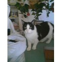 Max - This is Max...he is my fave but don't tell the others!