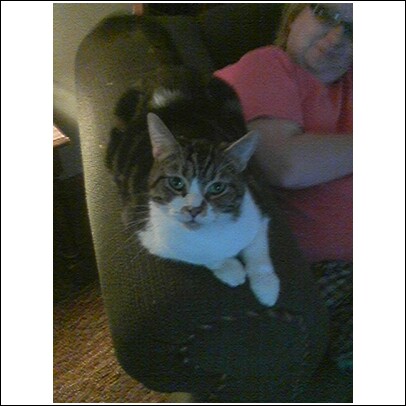 Tammy - This is my girl, Tammy. She's very prissy and proper.