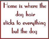 Dog Hair - illustration