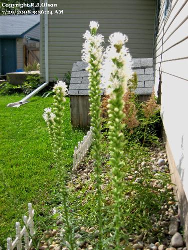 Identify Please? - Unknown still I believe.