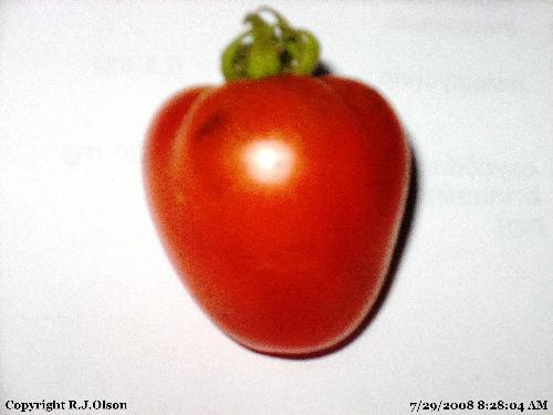 Cute Tomato - I saw this and smiled giving it to my wife. Cute Tomato - I saw this and smiled giving it to my wife.