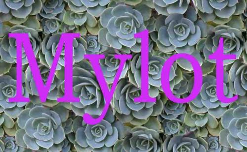 Mylot - Mylot art made with Corel Painter.