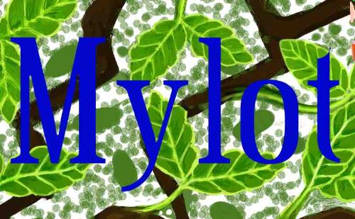 Mylot - Mylot art made with Corel Painter.