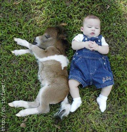 sleep - baby and doggy sleeping