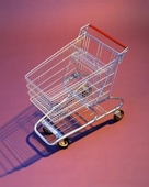 shopping cart - photo of grocery shopping cart