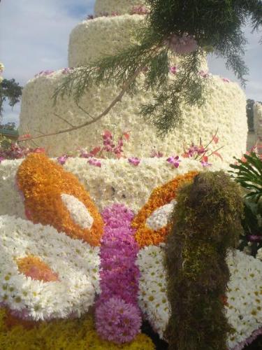Butterfly - That was during our place's flower festival, a butterfly made out of flowers.