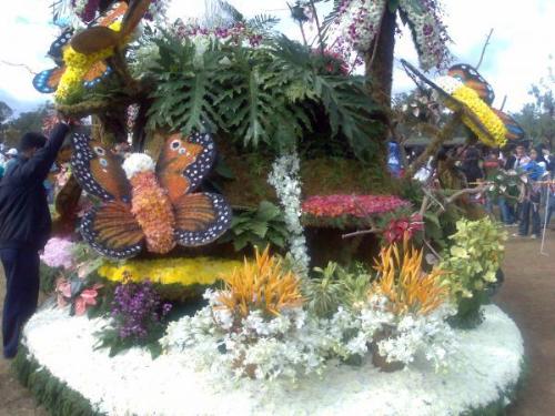 Flower..flowers.. - A masterpiece made of flowers...