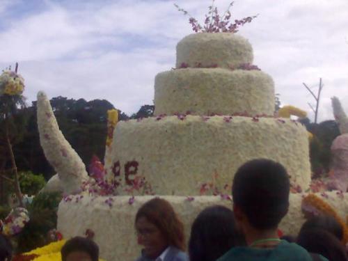 Cake? - That was a big cake...LOL..it was actually flowers where they formed a view like a big cake..how I was it was for real...it looks like yummy...