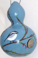 Birdhouse Gourd - This birdhouse gourd was grown here and handpainted by myself. Birdhouse Gourd - This birdhouse gourd was grown here and handpainted by myself.