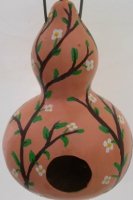 Birdhouse Gourd - pinkish orange back ground with white flowers