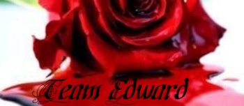 team edward - team edward, twilight, stephanie meyer, edward cullen, vampire