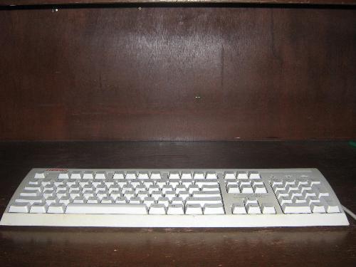 The Computer's Keypads - The keypads of the computer are your closest friends when writing. These are your 'hands' when writing.