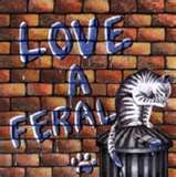 Feral Cats Need Love Too! - Spay and nueter is the key to over population!