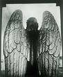 Angels - Angel wings