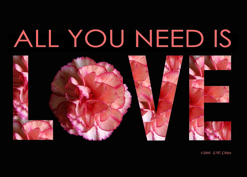 Need or Love - I just this picture from the internet and I think this picture can best represent my discussion...