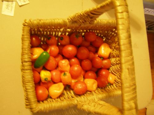 Veggies from the garden - Here are some that I picked today.