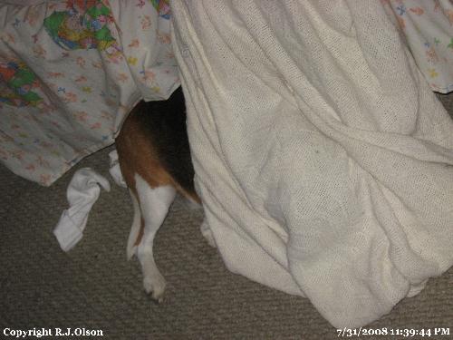 Free!  - Sort of freed. But back to being warm under the blanket