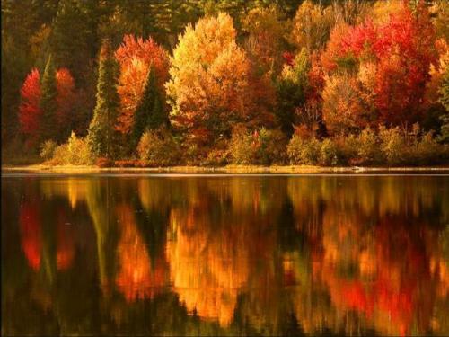 Autumn - Relcections in the fall