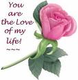 love - love of my life