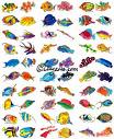 fish - lovely and cute