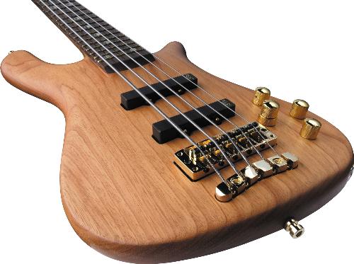 bass - 5-string bass guitar