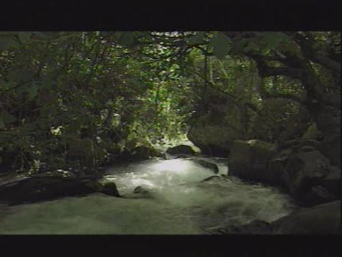 Scenery - The plae often visite by jesus an his disciples. I liked it that i thought I should give it to Mylot.
