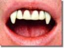 Dracula and other Vampires - The romantic side of a vampire