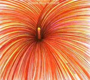 small Drawing of Orange Calla Lily by Nina Kurilof - This is a small drawing of a calla lily that I created through the use of line.