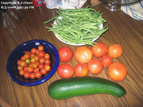 Fresh veggies - Grown in my Minnesota garden and picked Sunday August 3rd, 2008. Fresh veggies - Grown in my Minnesota garden and picked Sunday August 3rd, 2008.