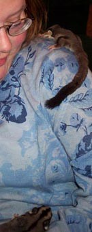 myself and sugar gliders - me and my babies