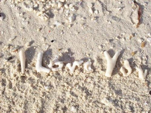 Sea shells by the seashore,,, - I collected sea shells that has their resemblance to letters. I used them to create I love you and took a picture on the sand,,,