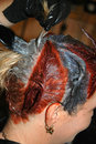 Colouring hair - photo of woman getting hair colored