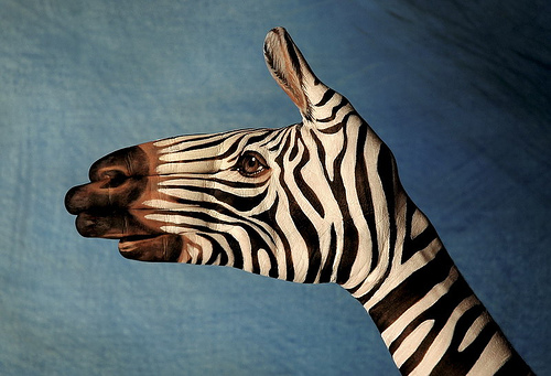 art, animal, hand painting - Hand painting of an animal - ZEBRA