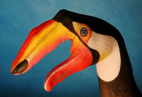 art, animal, hand painting - Hand painting of a toucan