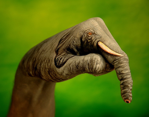 art, animal, hand painting - Hand painting of a elephant.