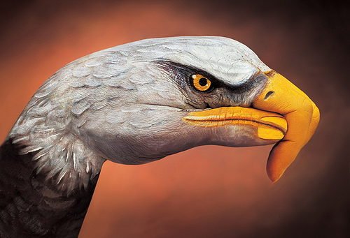 art, animal, hand painting - Hand painting of an eagle