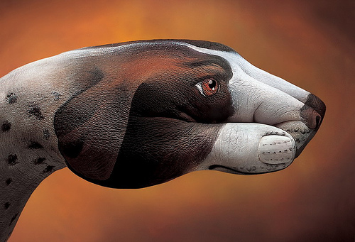 art, animal, hand painting - Hand painting of a dog.