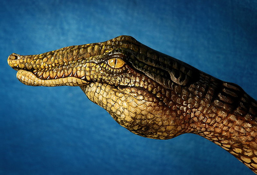 art, animal, hand painting - Hand painting of a crocodile