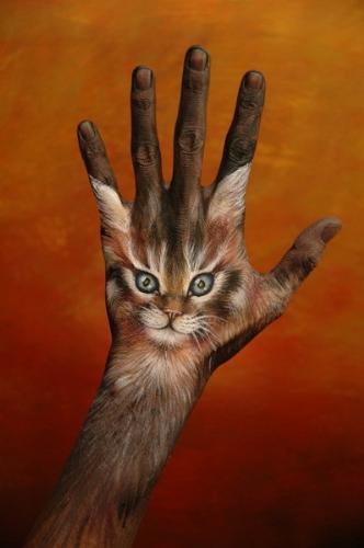 art, animal, hand painting - Hand painting of a cat