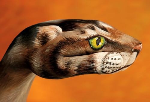 art, animal, hand painting - Hand painting of an animal