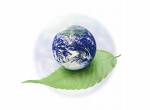 earth - Small earth held on a leaf.