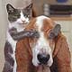 Such a cute pic - I love this picture.. its soooooo cute.. I just had to put it out for you to see.. :)